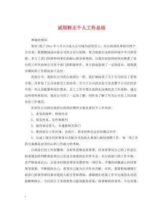 试用转正个人工作总结2