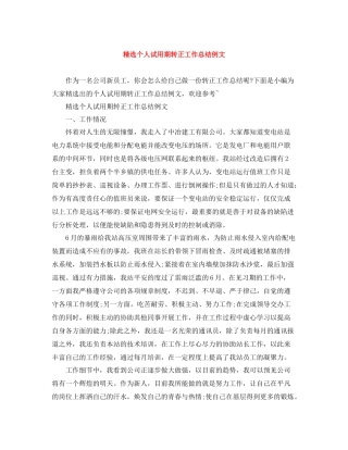 精选个人试用期转正工作总结例文