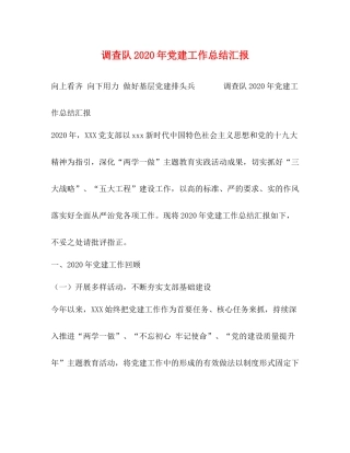 调查队年党建工作总结汇报