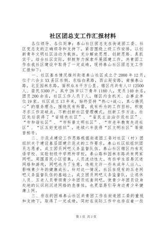 社区团总支工作汇报材料