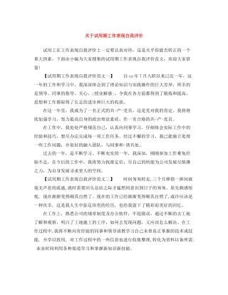 关于试用期工作表现自我评价