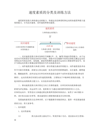 速度素质的分类及训练方法