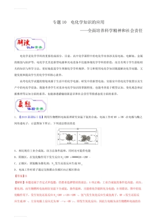 2020年高考化学提升突破专题十 电化学知识的应用(含答案)
