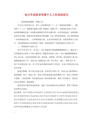 电力专业技术年度个人工作总结范文
