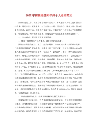 高级经济师年终个人总结范文2