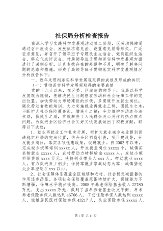 社保局分析检查报告