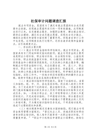 社保审计问题调查汇报