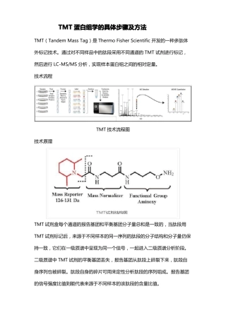 TMT蛋白组学的具体步骤及方法