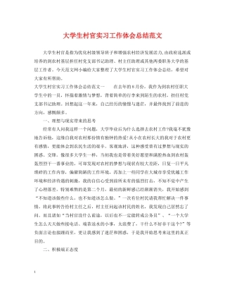 大学生村官实习工作体会总结范文