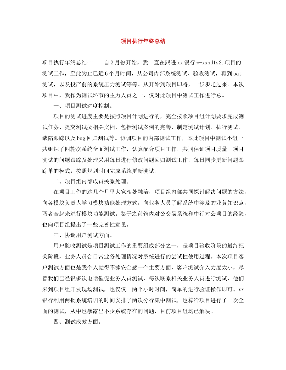 项目执行年终总结_第1页