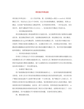 项目执行年终总结