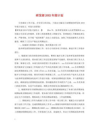 研发部20XX年度计划 