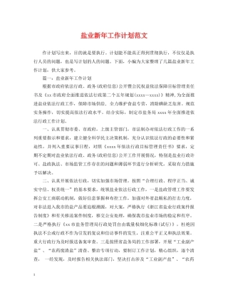 盐业新年工作计划范文 