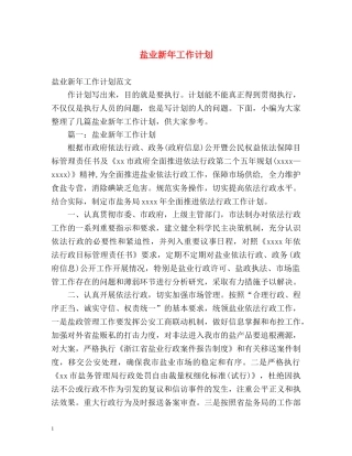 盐业新年工作计划 