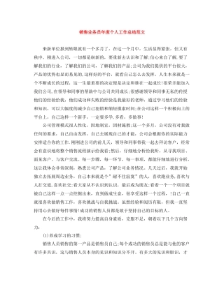 销售业务员年度个人工作总结范文