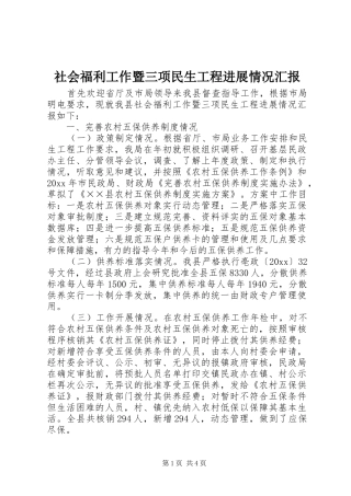 社会福利工作暨三项民生工程进展情况汇报