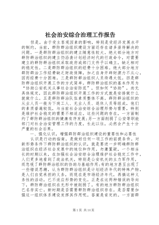 社会治安综合治理工作报告