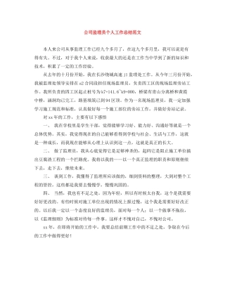 公司监理员个人工作总结范文