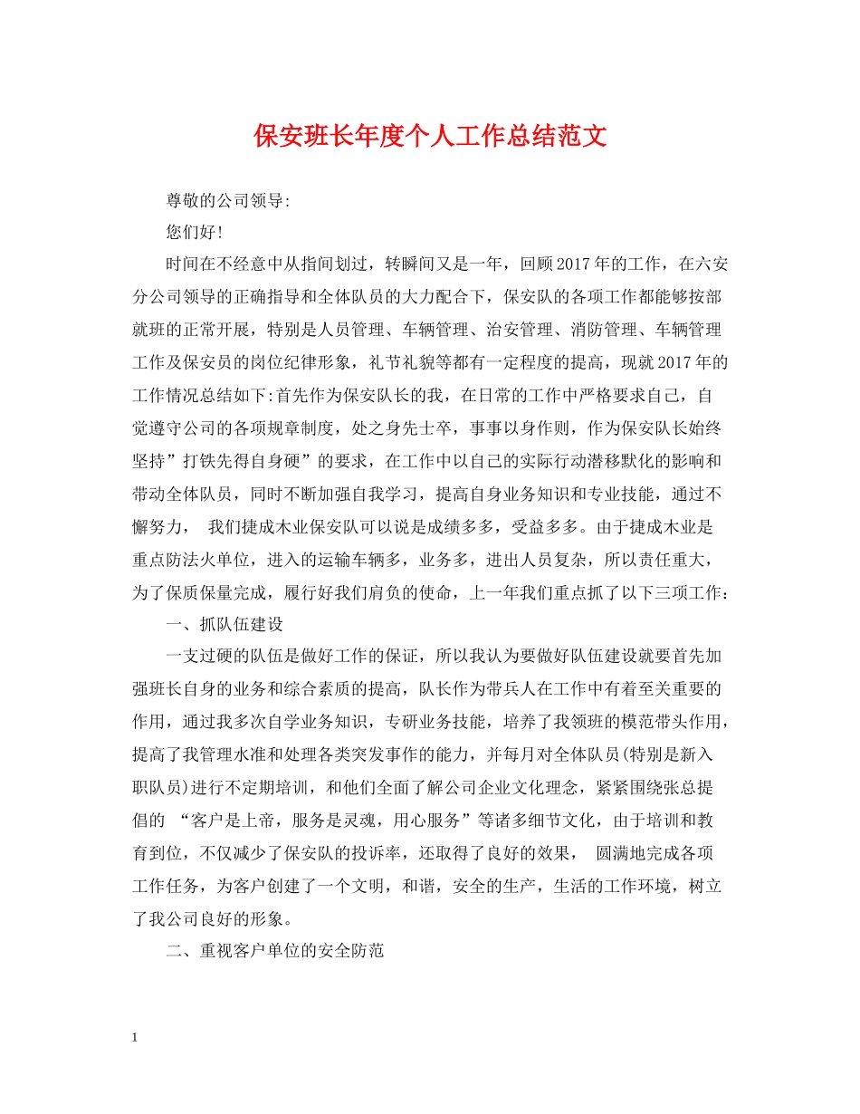 保安班长年度个人工作总结范文_第1页