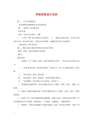 样板街推进计划表2 