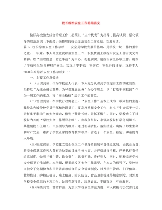 校长综治安全工作总结范文 