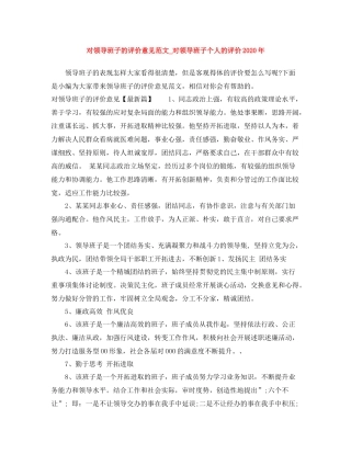 对领导班子的评价意见范文_对领导班子个人的评价年