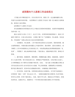 试用期内个人思想工作总结范文
