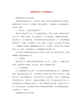初级职称年终工作总结范文