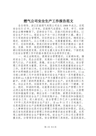 燃气公司安全生产工作报告范文