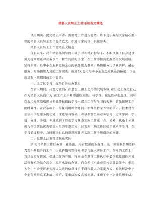 销售人员转正工作总结范文精选