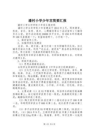 潘村小学少年宫简要汇报