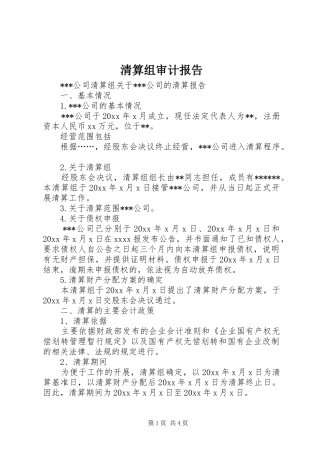 清算组审计报告