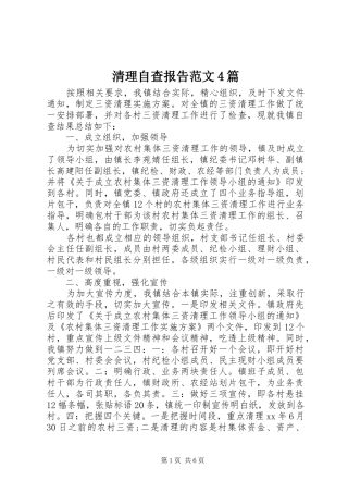 清理自查报告范文4篇