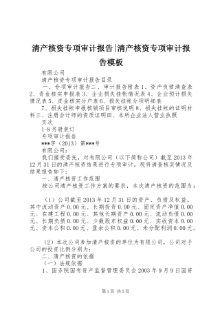 清产核资专项审计报告-清产核资专项审计报告模板