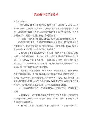 校团委书记工作总结 