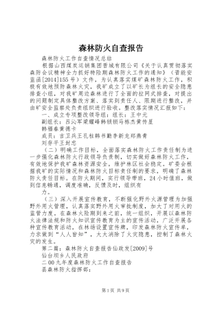 森林防火自查报告