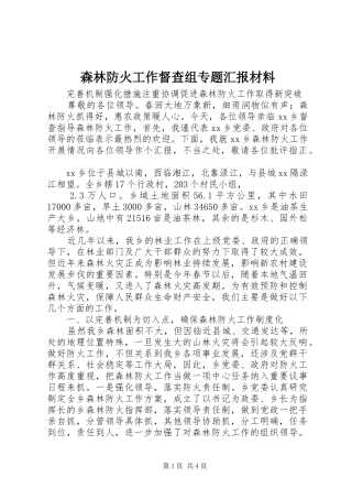 森林防火工作督查组专题汇报材料