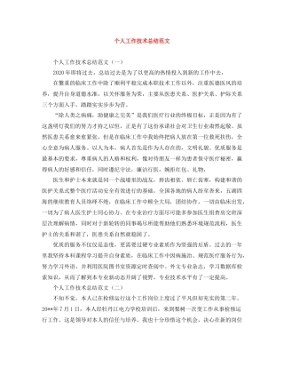 个人工作技术总结范文