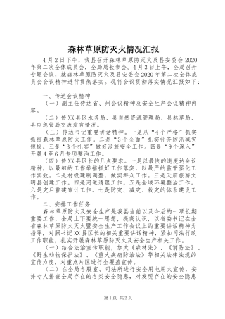 森林草原防灭火情况汇报