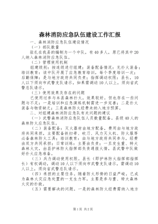 森林消防应急队伍建设工作汇报