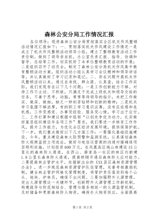 森林公安分局工作情况汇报