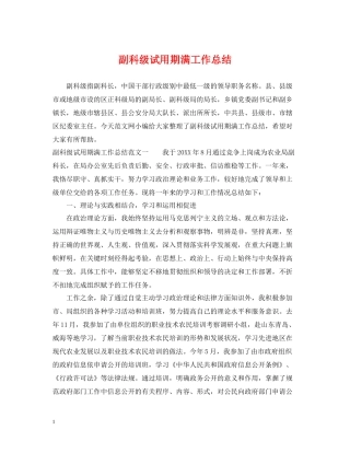 副科级试用期满工作总结