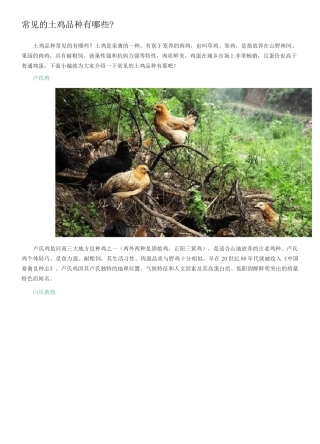 常见的土鸡品种有哪些