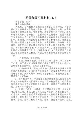 桥梁加固汇报材料11.8