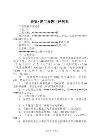 桥梁(竣工报告)[样例5]