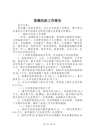 某镇民政工作报告