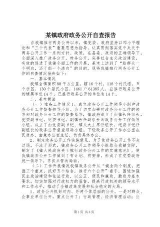 某镇政府政务公开自查报告
