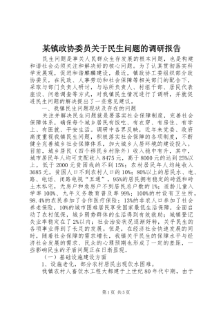 某镇政协委员关于民生问题的调研报告