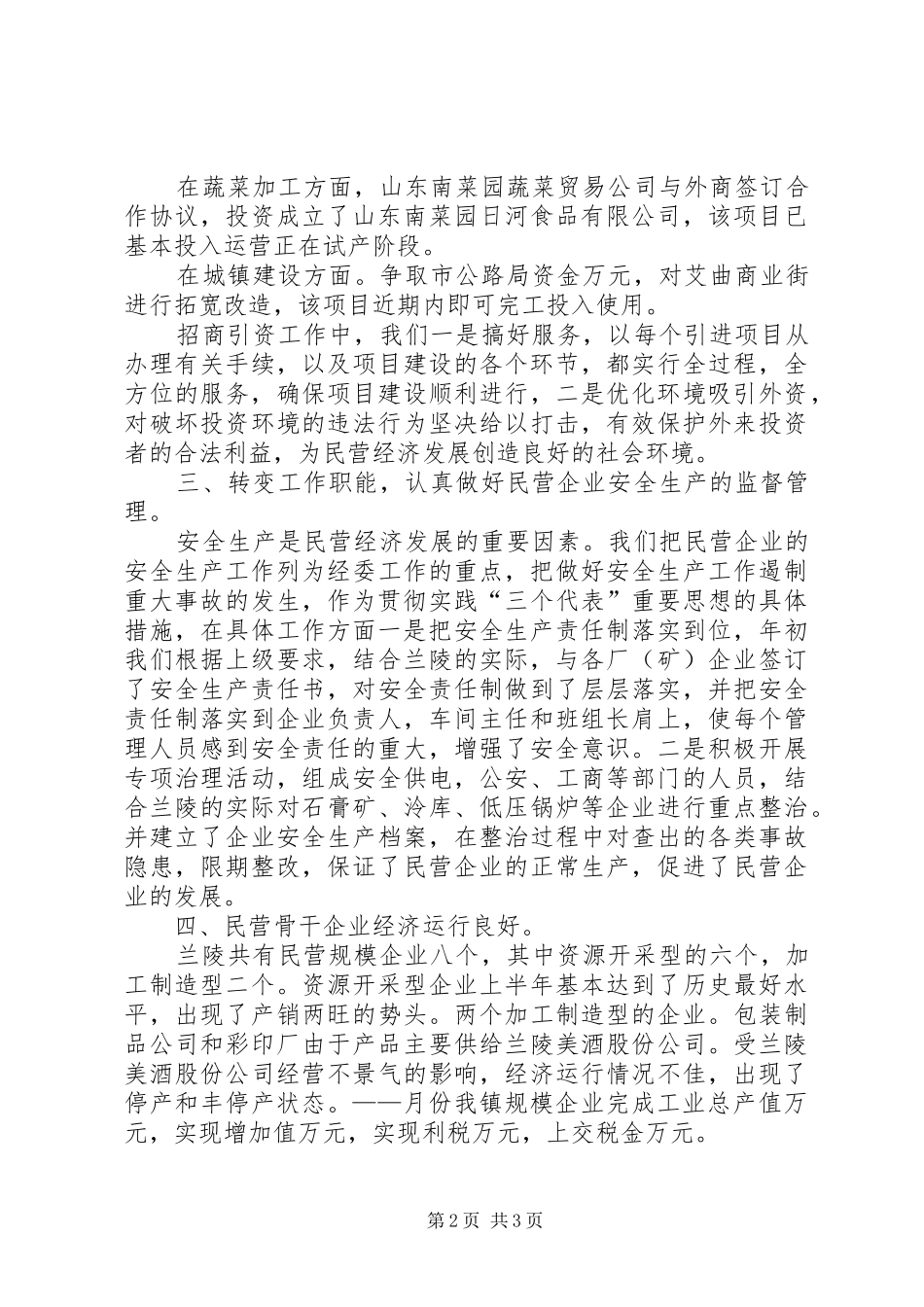 某镇二○○四年民营经济基本情况汇报材料_第2页