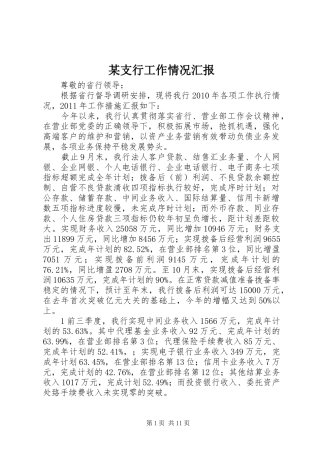 某支行工作情况汇报